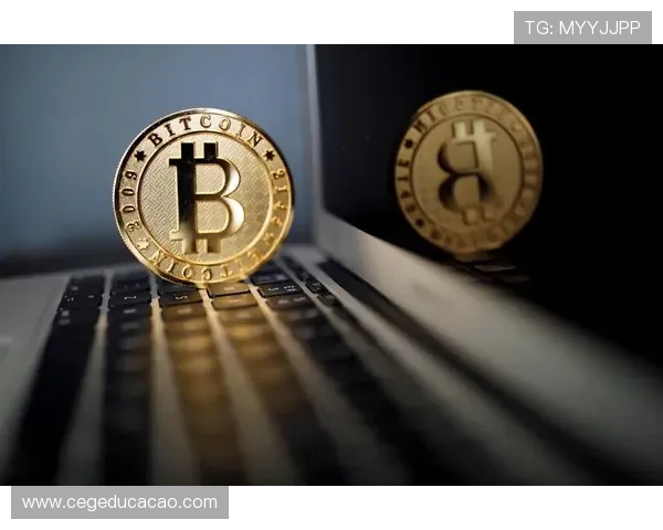 发财圈：从零开始建立个人财富圈的实用策略与成功经验