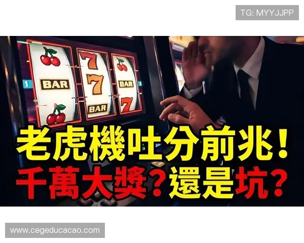 最新真人老虎机平台推荐，安全可靠玩法多样，带你畅享真实赌场的精彩瞬间