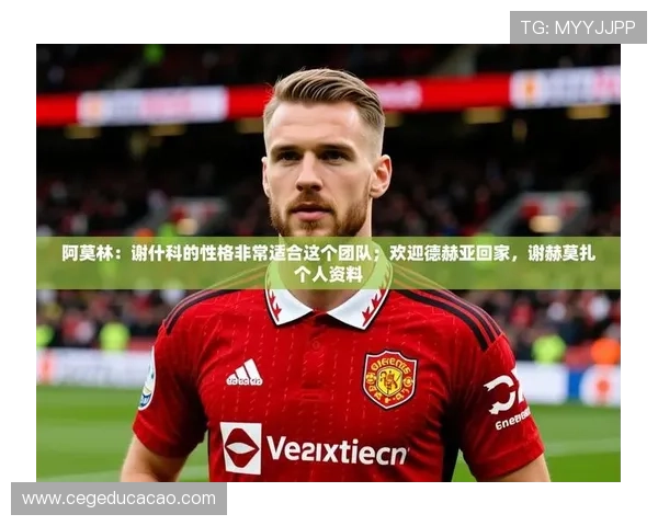 九游娱乐官方网站赞助不莱梅足球俱乐部的合作背景与行业内的战略布局分析 九游娱乐官方网站赞助不莱梅足球俱乐部的合作背景与行业内的战略布局分析